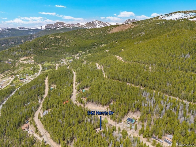542 Harris Dr, Idaho Springs, CO 80452 - photo 34