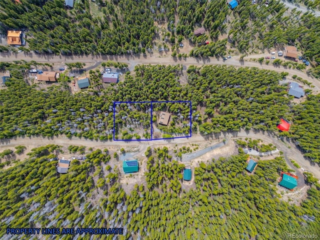 542 Harris Dr, Idaho Springs, CO 80452 - photo 6
