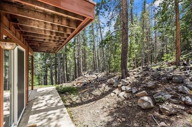 542 Harris Dr, Idaho Springs, CO 80452 - photo 25