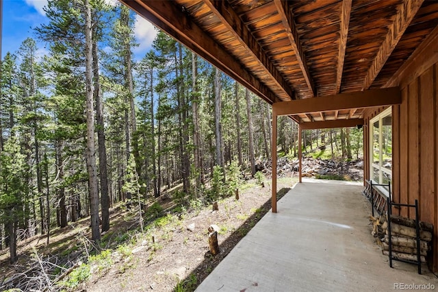 542 Harris Dr, Idaho Springs, CO 80452 - photo 27