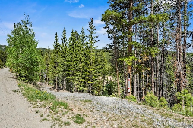 542 Harris Dr, Idaho Springs, CO 80452 - photo 28