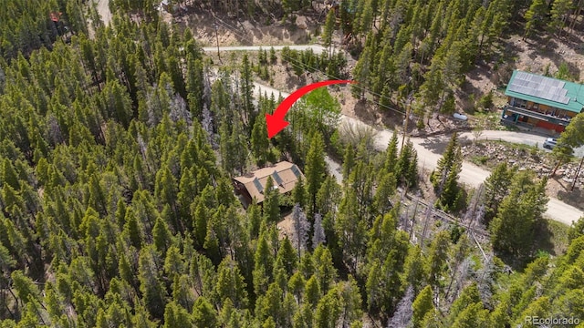 542 Harris Dr, Idaho Springs, CO 80452 - photo 30