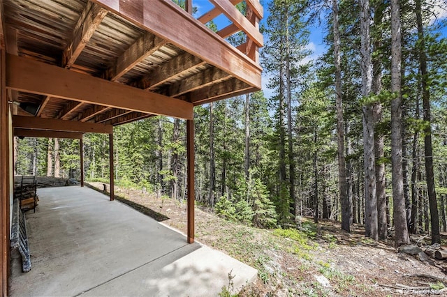542 Harris Dr, Idaho Springs, CO 80452 - photo 26