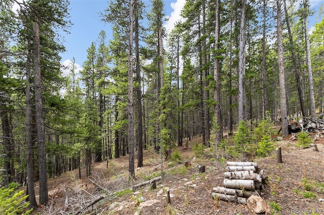 542 Harris Dr, Idaho Springs, CO 80452 - photo 36