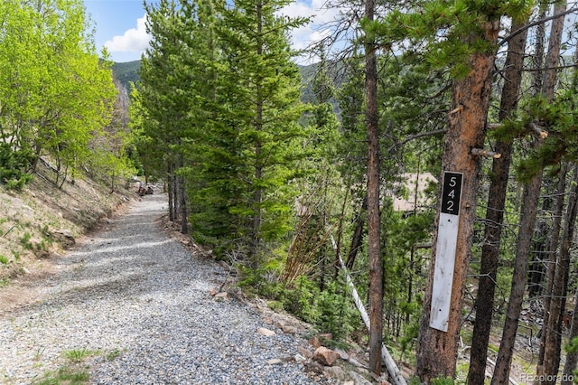 542 Harris Dr, Idaho Springs, CO 80452 - photo 37