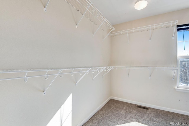 spacious closet featuring carpet