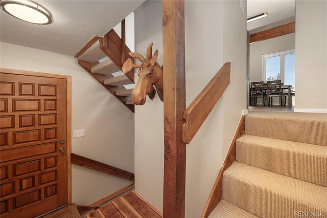 821 Wolverine # D, Fraser, CO 80442 - photo 4