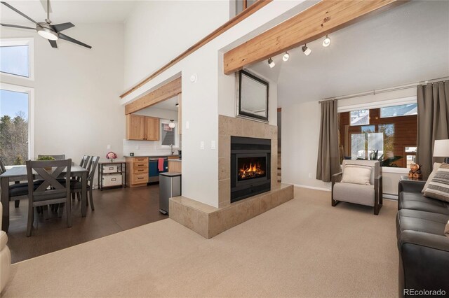 821 Wolverine # D, Fraser, CO 80442 - photo 10
