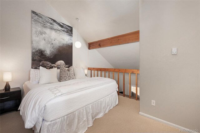 821 Wolverine # D, Fraser, CO 80442 - photo 14