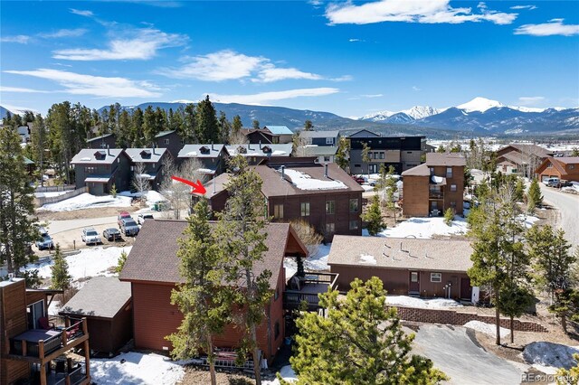 821 Wolverine # D, Fraser, CO 80442 - photo 28