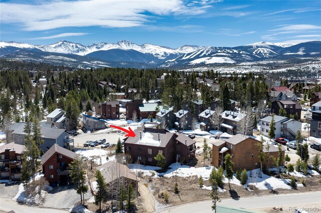821 Wolverine # D, Fraser, CO 80442 - photo 30