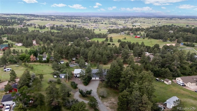 11768 Ponderosa Ln, Franktown, CO 80116 - photo 42
