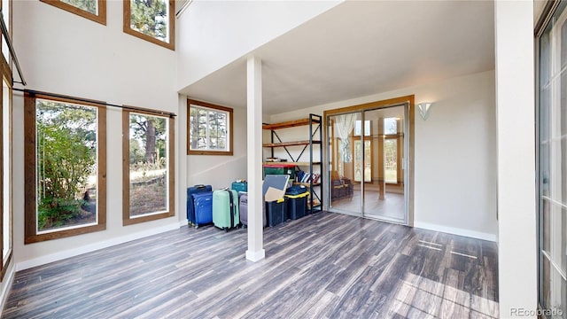 11768 Ponderosa Ln, Franktown, CO 80116 - photo 20