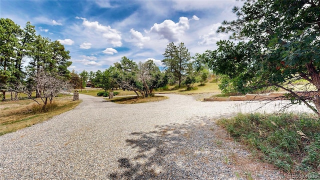 11768 Ponderosa Ln, Franktown, CO 80116 - photo 6
