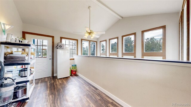 11768 Ponderosa Ln, Franktown, CO 80116 - photo 18