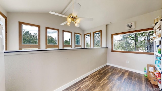 11768 Ponderosa Ln, Franktown, CO 80116 - photo 19