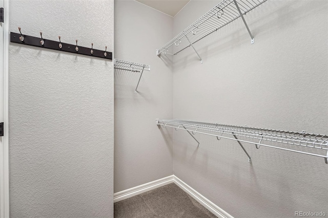 spacious closet with carpet floors