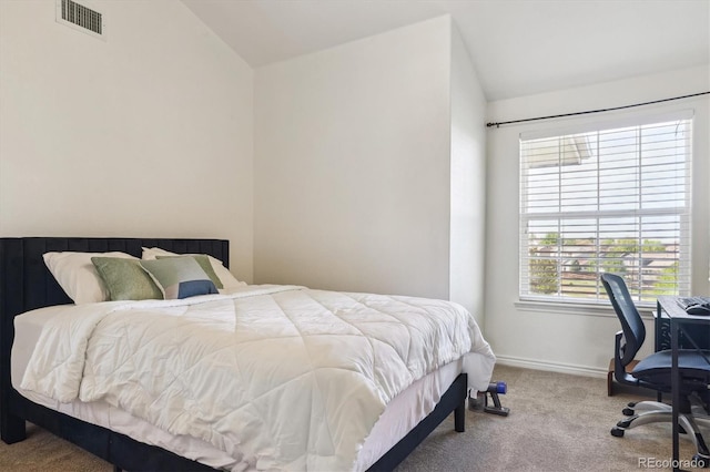 18669 Stroh Rd Unit 10208, Parker, CO 80134 - carpeted bedroom with lofted ceiling, baseboards, and an office area