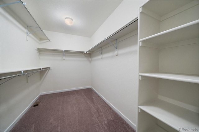 walk in closet featuring carpet floors