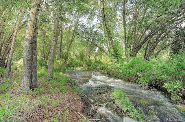 view of landscape featuring a wooded view