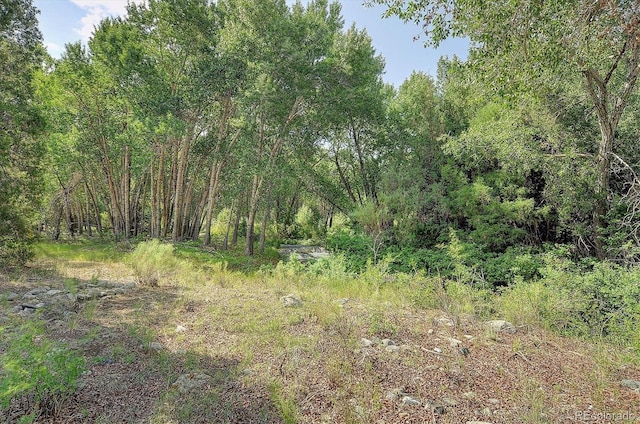 view of landscape with a view of trees