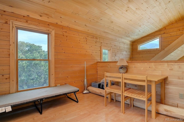 interior space with multiple windows and wooden walls