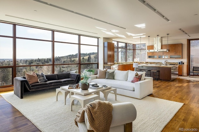 living room featuring dark wood-type flooring and a wall of windows