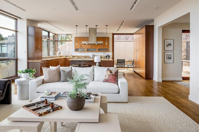 living room featuring sink and dark hardwood / wood-style flooring