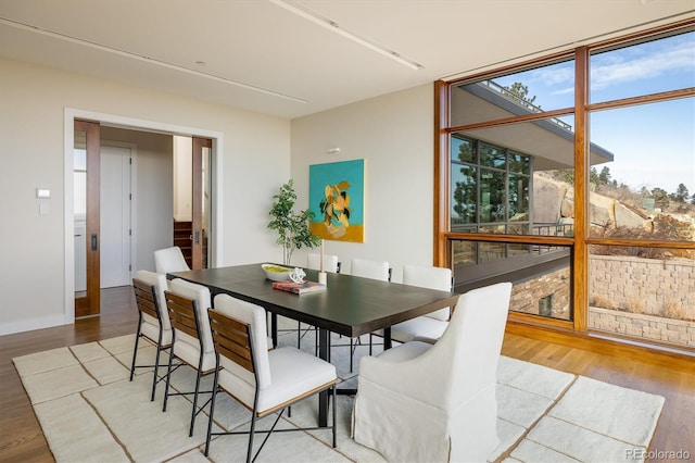 dining room featuring expansive windows and wood-type flooring