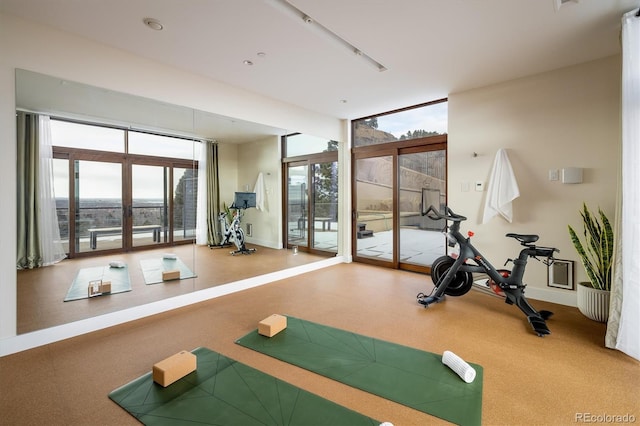 exercise area featuring a wall of windows