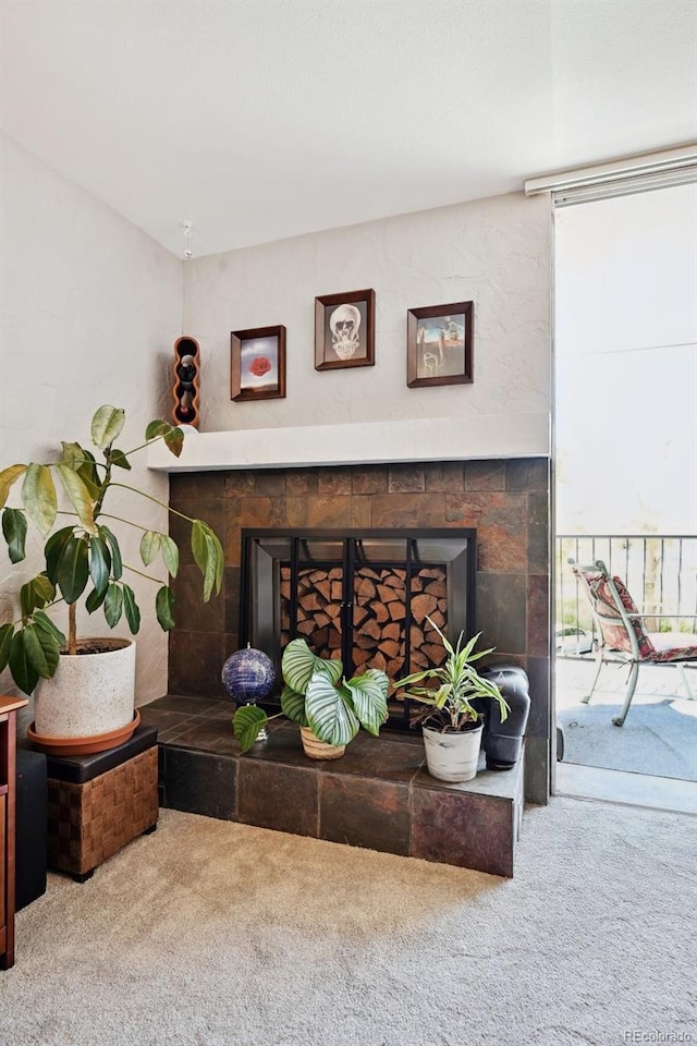805 29th St Unit 308, Boulder, CO 80303 - detailed view of a fireplace and carpet flooring