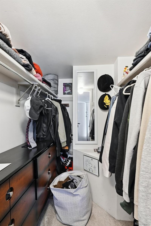 805 29th St Unit 308, Boulder, CO 80303 - spacious closet with carpet flooring
