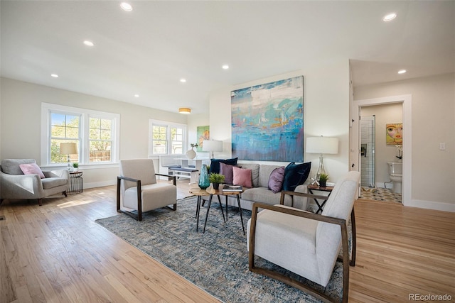 living room featuring light hardwood / wood-style flooring