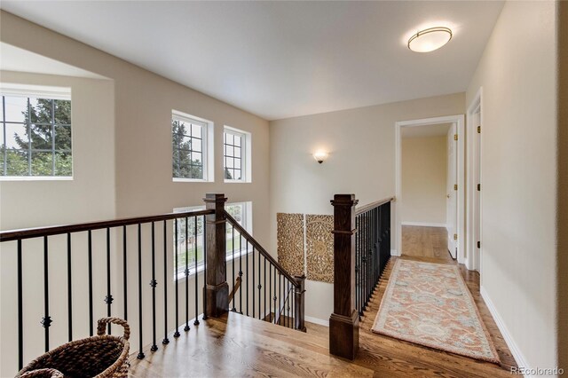 3142 Captains Ln, Longmont, CO 80503 - photo 22