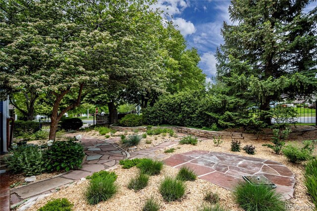 3142 Captains Ln, Longmont, CO 80503 - photo 38