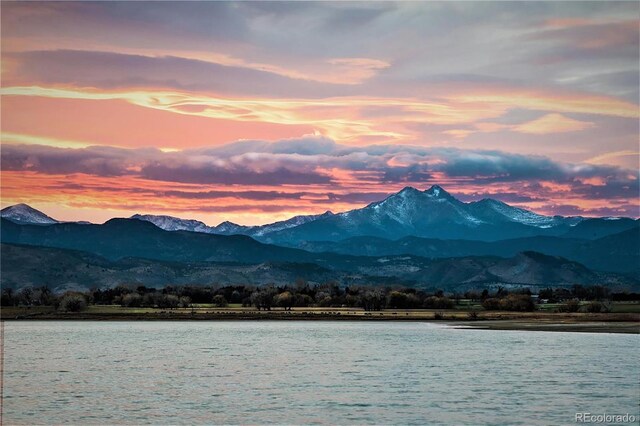 3142 Captains Ln, Longmont, CO 80503 - photo 41