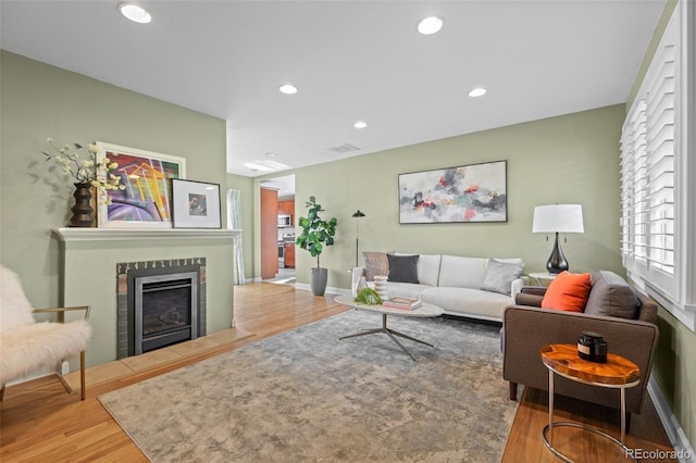 living room featuring wood-type flooring