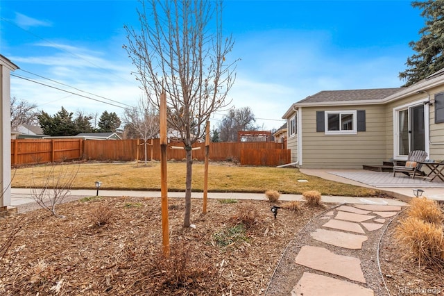 view of yard featuring a patio area