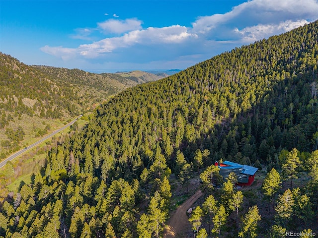 5896 Peregrine Trl, Golden, CO 80403 - view of mountain background featuring a forest