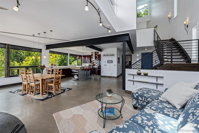 5896 Peregrine Trl, Golden, CO 80403 - living room with finished concrete floors, healthy amount of natural light, baseboards, and a towering ceiling