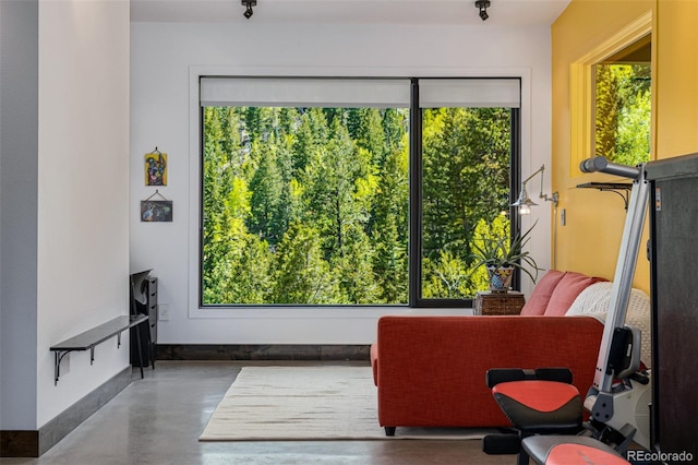 5896 Peregrine Trl, Golden, CO 80403 - living area featuring finished concrete floors