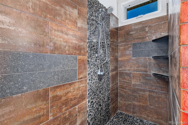 5896 Peregrine Trl, Golden, CO 80403 - full bath with a tile shower