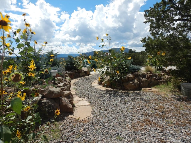 view of yard featuring a mountain view