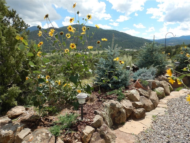 property view of mountains