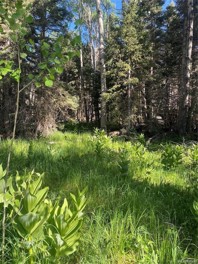 3362 Forbes Park Loop, Fort Garland, CO 81133