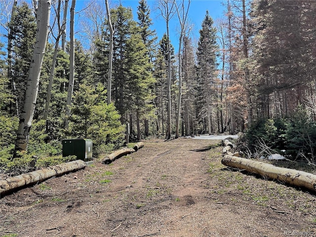 3362 Forbes Park Loop, Fort Garland, CO 81133