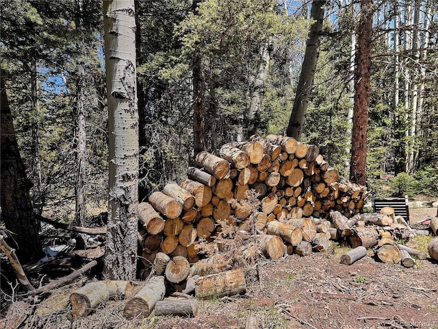 3362 Forbes Park Loop, Fort Garland, CO 81133