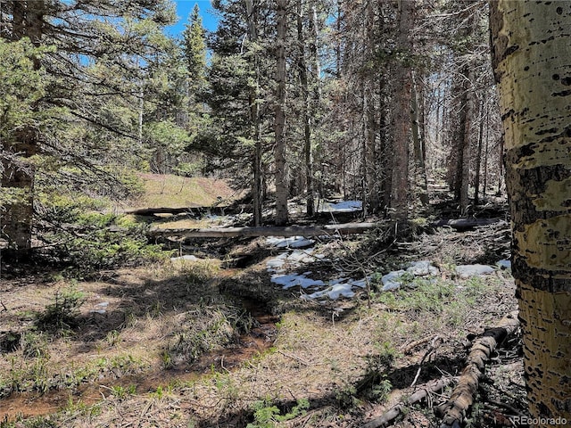 3362 Forbes Park Loop, Fort Garland, CO 81133