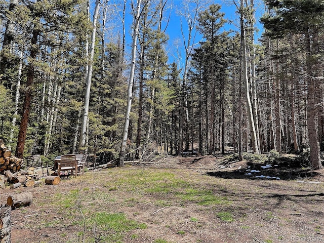3362 Forbes Park Loop, Fort Garland, CO 81133