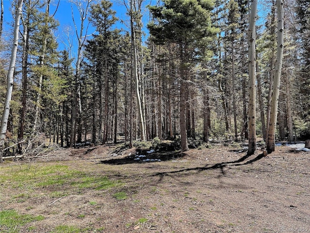 3362 Forbes Park Loop, Fort Garland, CO 81133